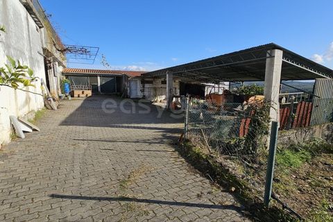 Farm i Azere e Covelo, Coimbra, Azere e Covelo - € 599.000 | Ref: RR96495 - foto 31