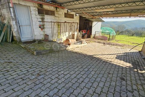 Farm i Azere e Covelo, Coimbra, Azere e Covelo - € 599.000 | Ref: RR96495 - foto 33