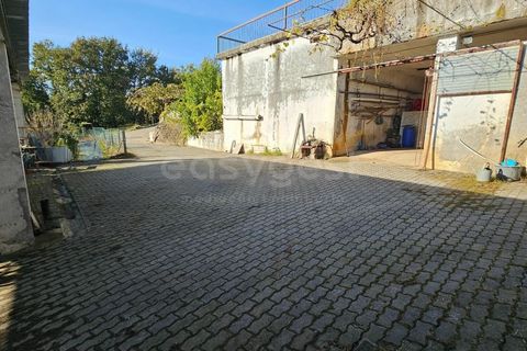Farm i Azere e Covelo, Coimbra, Azere e Covelo - € 599.000 | Ref: RR96495 - foto 34