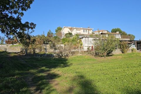 Farm i Azere e Covelo, Coimbra, Azere e Covelo - € 599.000 | Ref: RR96495 - foto 35