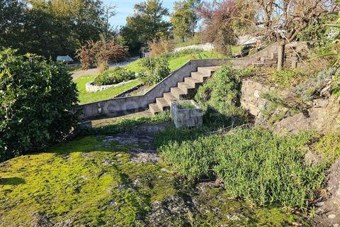 Farm i Azere e Covelo, Coimbra, Azere e Covelo - € 599.000 | Ref: RR96495 - foto 38
