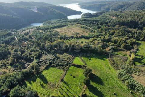 Farm i Azere e Covelo, Coimbra, Azere e Covelo - € 599.000 | Ref: RR96495 - foto 40