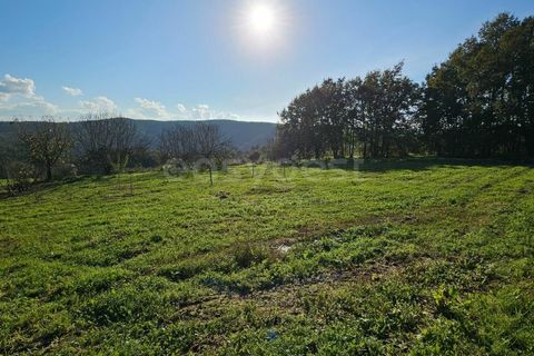 Farm i Azere e Covelo, Coimbra, Azere e Covelo - € 599.000 | Ref: RR96495 - foto 42