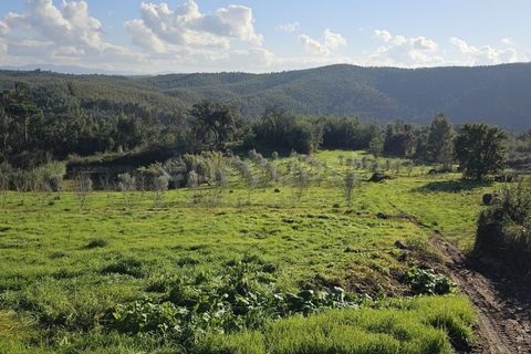 Farm i Azere e Covelo, Coimbra, Azere e Covelo - € 599.000 | Ref: RR96495 - foto 43