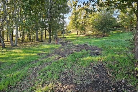 Farm i Azere e Covelo, Coimbra, Azere e Covelo - € 599.000 | Ref: RR96495 - foto 44