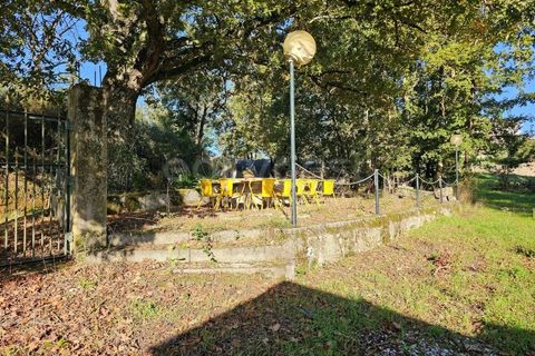 Farm i Azere e Covelo, Coimbra, Azere e Covelo - € 599.000 | Ref: RR96495 - foto 45