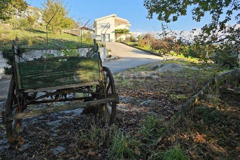 Farm i Azere e Covelo, Coimbra, Azere e Covelo - € 599.000 | Ref: RR96495 - foto 47