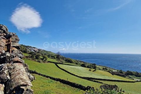 Villa i Lajes do Pico, Pico, Lajes do Pico - € 120.000 | Ref: AZ96480MK - foto 14