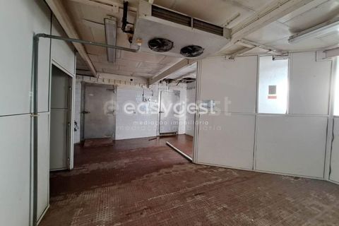 Villa a Alvito, Beja, Alvito - € 95.000 | Ref: BJ96286 - foto 23