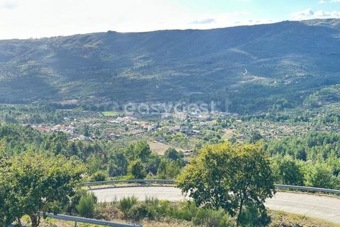 Farm i Almeida, Guarda, Almeida - € 300.000 | Ref: BG96289TM - foto 4