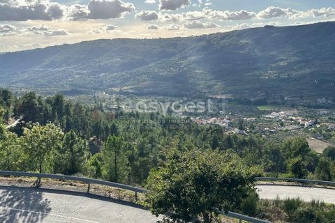 Farm i Almeida, Guarda, Almeida - € 300.000 | Ref: BG96289TM - foto 5