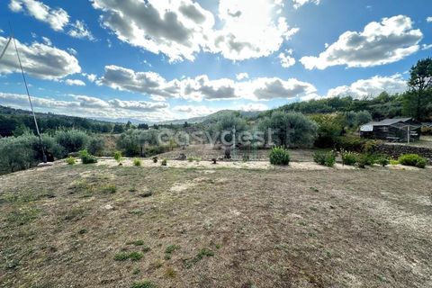 Farm i Almeida, Guarda, Almeida - € 300.000 | Ref: BG96289TM - foto 21