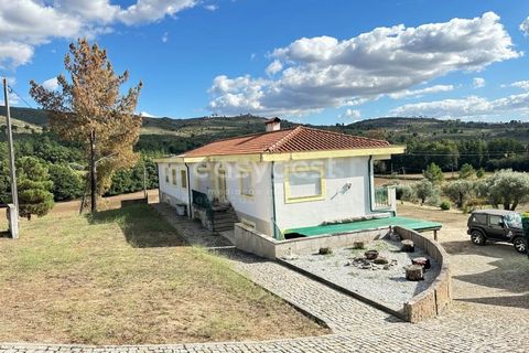 Farm i Almeida, Guarda, Almeida - € 300.000 | Ref: BG96289TM - foto 23