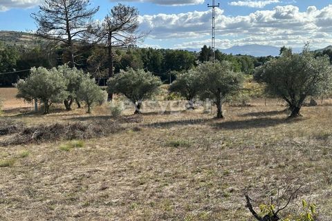 Farm i Almeida, Guarda, Almeida - € 300.000 | Ref: BG96289TM - foto 24