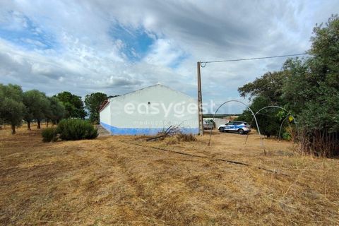 Farm hus i Beja, Beja, Beja - € 320.000 | Ref: BJ95894 - foto 4