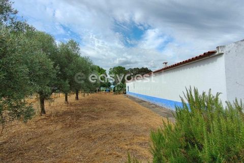 Farm hus i Beja, Beja, Beja - € 320.000 | Ref: BJ95894 - foto 5
