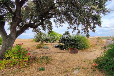 Farm hus i Beja, Beja, Beja - € 320.000 | Ref: BJ95894 - foto 6