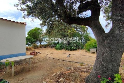 Farm hus i Beja, Beja, Beja - € 320.000 | Ref: BJ95894 - foto 7