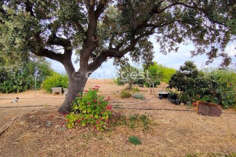 Farm hus i Beja, Beja, Beja - € 320.000 | Ref: BJ95894 - foto 8