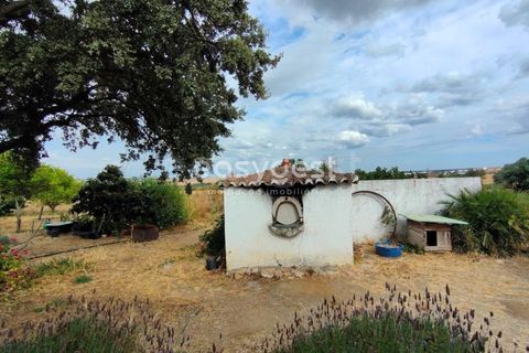 Farm hus i Beja, Beja, Beja - € 320.000 | Ref: BJ95894 - foto 9
