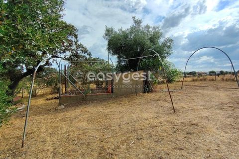 Farm hus i Beja, Beja, Beja - € 320.000 | Ref: BJ95894 - foto 10