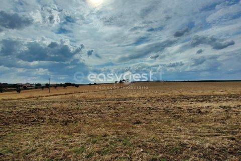 Farm hus i Beja, Beja, Beja - € 320.000 | Ref: BJ95894 - foto 19