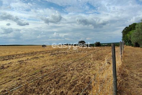 Farm hus i Beja, Beja, Beja - € 320.000 | Ref: BJ95894 - foto 20