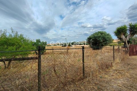 Farm hus i Beja, Beja, Beja - € 320.000 | Ref: BJ95894 - foto 21