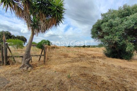 Farm hus i Beja, Beja, Beja - € 320.000 | Ref: BJ95894 - foto 22