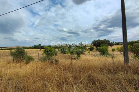 Farm hus i Beja, Beja, Beja - € 320.000 | Ref: BJ95894 - foto 23