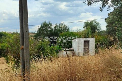 Farm hus i Beja, Beja, Beja - € 320.000 | Ref: BJ95894 - foto 24