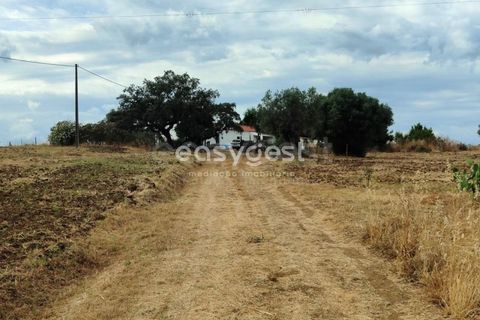 Farm hus i Beja, Beja, Beja - € 320.000 | Ref: BJ95894 - foto 25