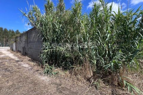 Helårsgrund i Entroncamento, Santarem, Entroncamento - € 95.000 | Ref: TM95801 - foto 8
