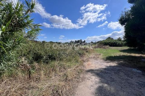 Helårsgrund i Entroncamento, Santarem, Entroncamento - € 95.000 | Ref: TM95801 - foto 9