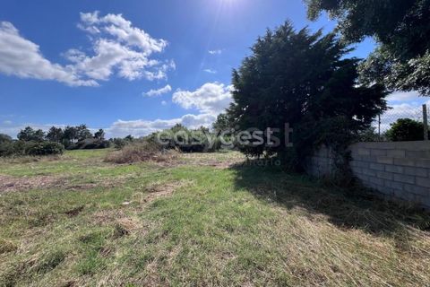 Helårsgrund i Entroncamento, Santarem, Entroncamento - € 95.000 | Ref: TM95801 - foto 10