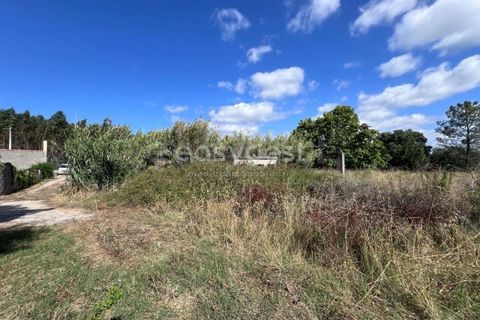 Helårsgrund i Entroncamento, Santarem, Entroncamento - € 95.000 | Ref: TM95801 - foto 11