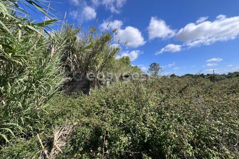 Helårsgrund i Entroncamento, Santarem, Entroncamento - € 95.000 | Ref: TM95801 - foto 12