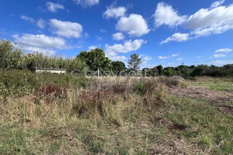 Helårsgrund i Entroncamento, Santarem, Entroncamento - € 95.000 | Ref: TM95801 - foto 13