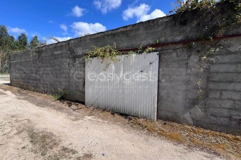 Helårsgrund i Entroncamento, Santarem, Entroncamento - € 95.000 | Ref: TM95801 - foto 14