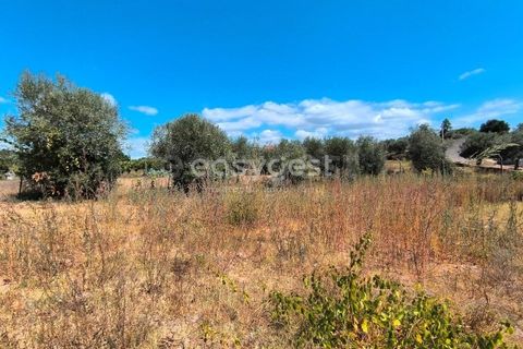 Villa a Mouriscas, Santarem, Mouriscas - € 45.000 | Ref: TM96195 - foto 4