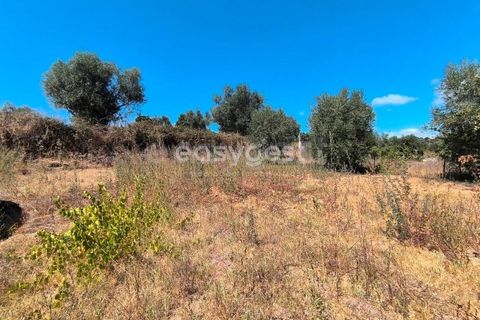 Villa a Mouriscas, Santarem, Mouriscas - € 45.000 | Ref: TM96195 - foto 8