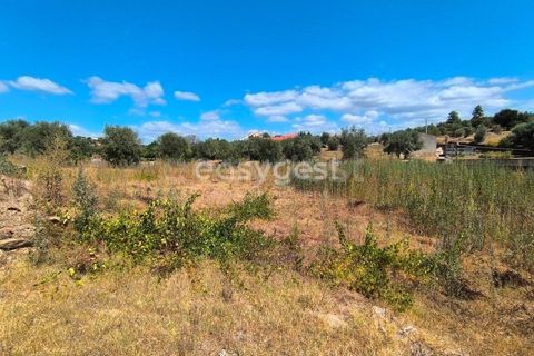 Villa a Mouriscas, Santarem, Mouriscas - € 45.000 | Ref: TM96195 - foto 10
