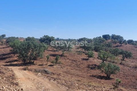 Farm hus i Ourique, Beja, Ourique - € 189.000 | Ref: BJ95765 - foto 5