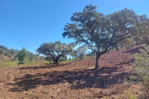 Farm hus i Ourique, Beja, Ourique - € 189.000 | Ref: BJ95765 - foto 11