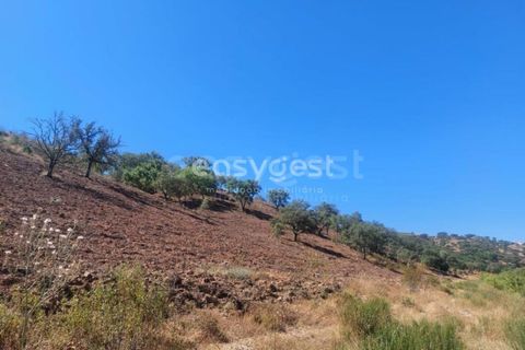 Farm hus i Ourique, Beja, Ourique - € 189.000 | Ref: BJ95765 - foto 14
