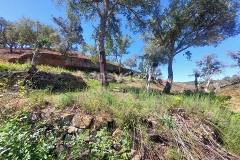 Farm hus i Ourique, Beja, Ourique - € 189.000 | Ref: BJ95765 - foto 15