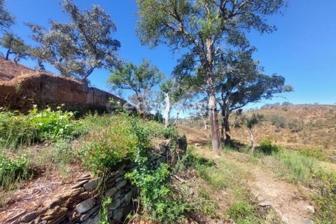 Farm hus i Ourique, Beja, Ourique - € 189.000 | Ref: BJ95765 - foto 16