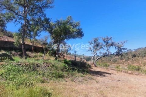 Farm hus i Ourique, Beja, Ourique - € 189.000 | Ref: BJ95765 - foto 19
