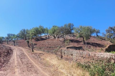 Farm hus i Ourique, Beja, Ourique - € 189.000 | Ref: BJ95765 - foto 20