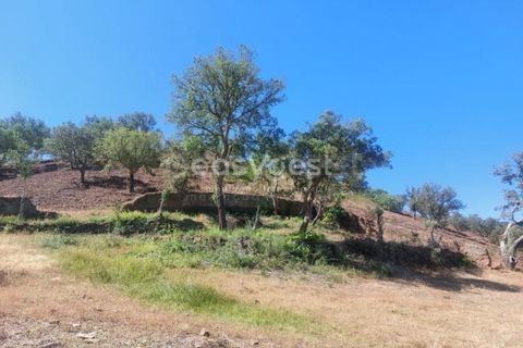 Farm hus i Ourique, Beja, Ourique - € 189.000 | Ref: BJ95765 - foto 24